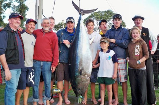 Southern tuna run in full swing